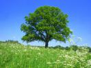 thumb_CIMG5448_273480